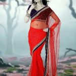 Christmas Saree   Sarees For Christmas Holiday