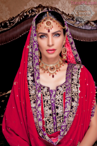 Pakistani Model Fouzia Aman