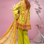 3PC Chiffon Lawn Print 3817063 PKR 2,695