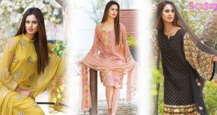 Motifz Bemberg Crinkle Chiffon Collection